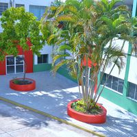 Campus Cuiabá inaugura novo refeitório segunda feira, 12